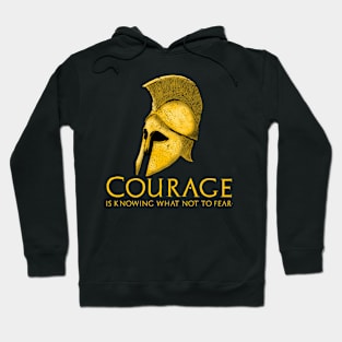 Courage Is Knowing What Not To Fear - Motivational Spartan Hoodie